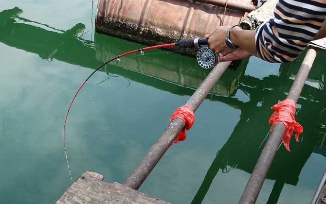 筏钓什么时候好钓？