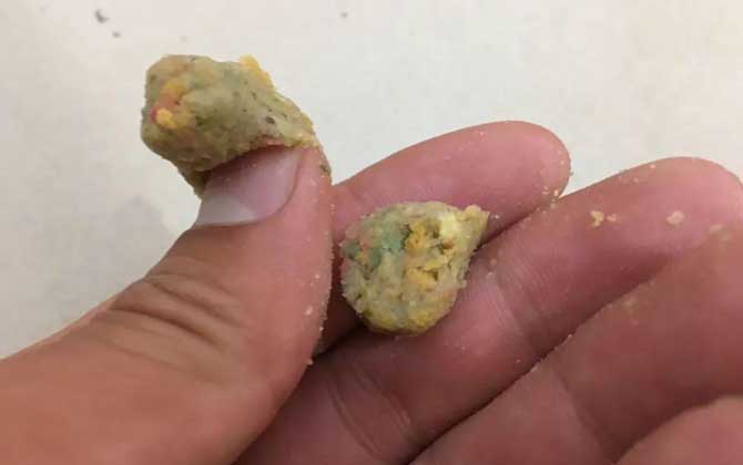 搓饵钓鲤鱼调几钓几最好?