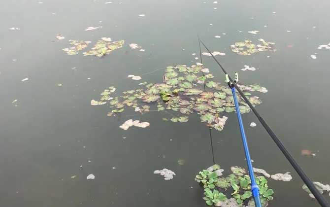 野钓直接用饵料打窝可以吗