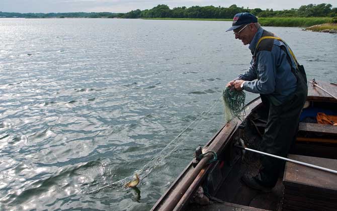 筏钓用什么饵料