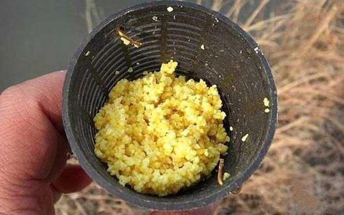春季钓鱼用什么打窝最好