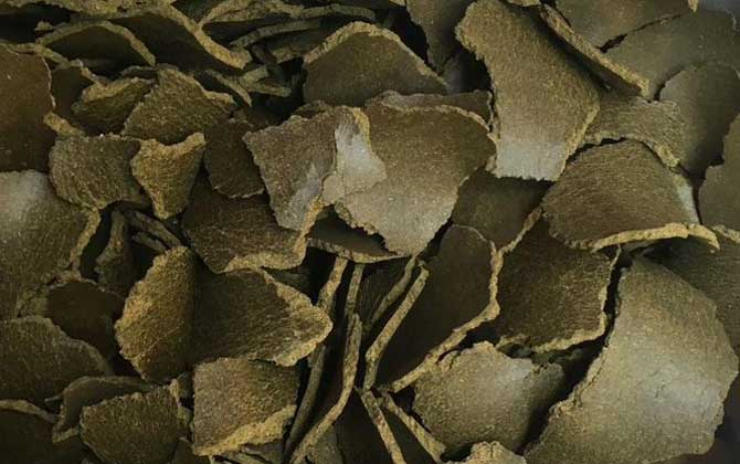 菜籽饼怎么做钓鱼窝料