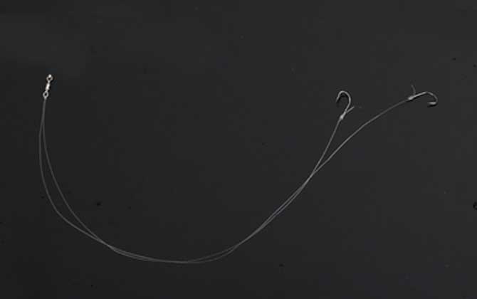 0.2号子线钓到大鱼怎么办