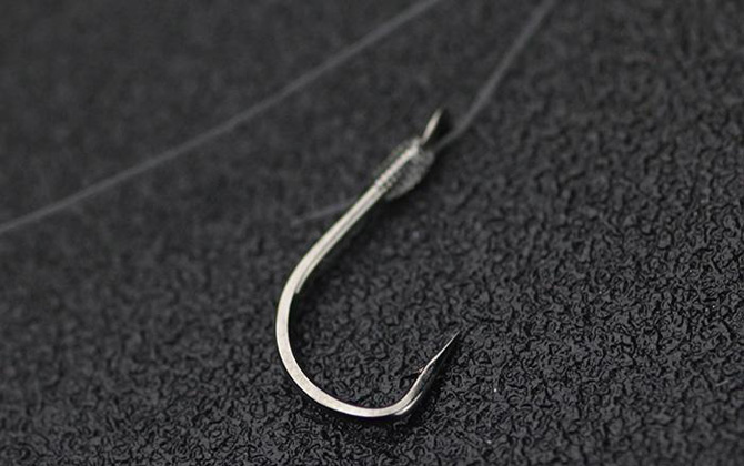 2.5子线能钓多大的鱼