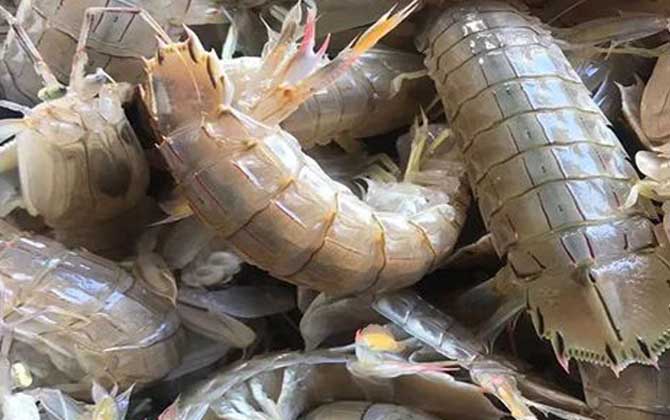 皮皮虾蒸几分钟最好